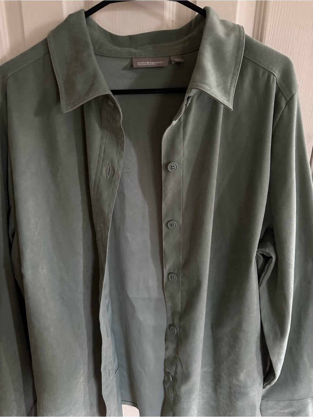 Croft & Barrow Sage Green Button-Front Flannel